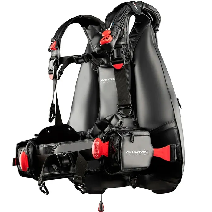 Atomic BC2 BCD