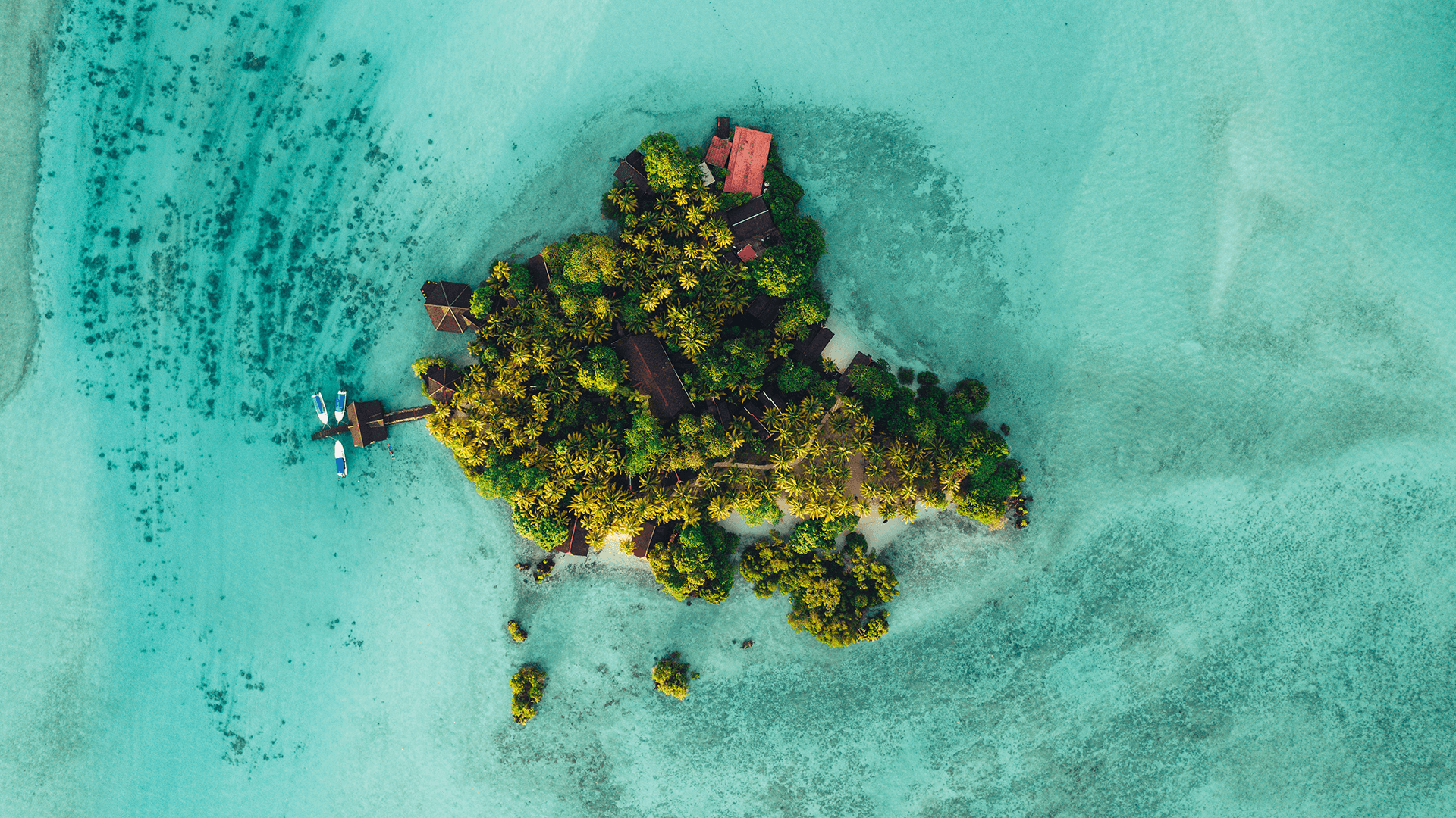 Borneo - Derawan Øhavet - Grupperejse - 24. Aug 2027