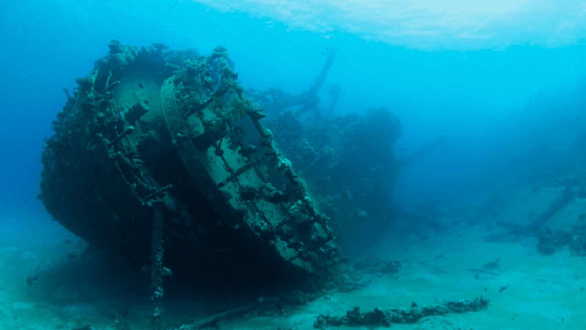 Egypten - Nord og Vrag Liveaboard - Grupperejse 7. oktober 2027