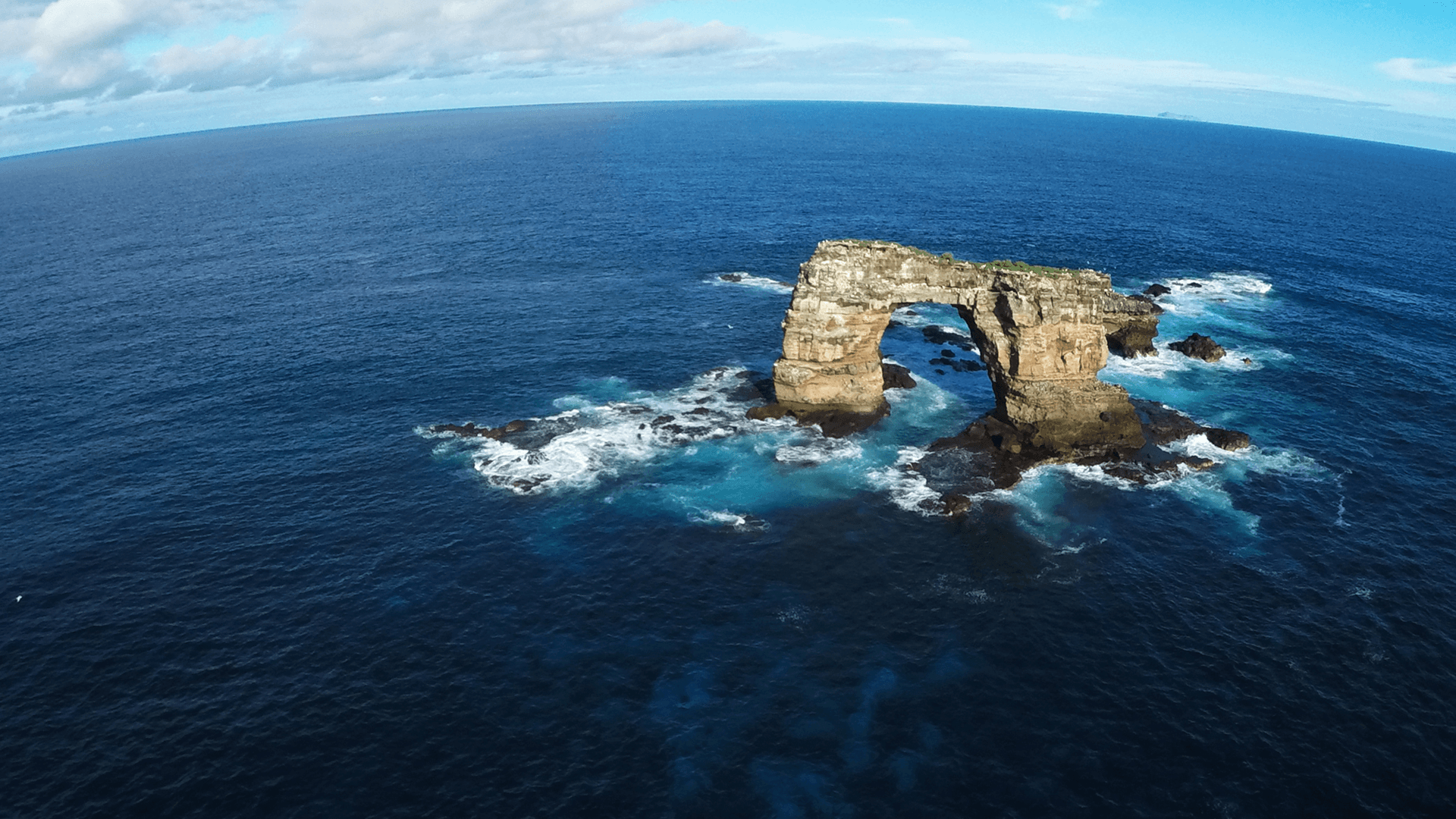 Galapagos - Dykkerrejse - Liveaboard - Grupperejse 24. oktober 2026