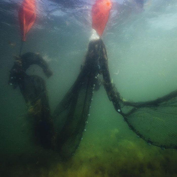 Danish Ghost Net Recovery - Specialty