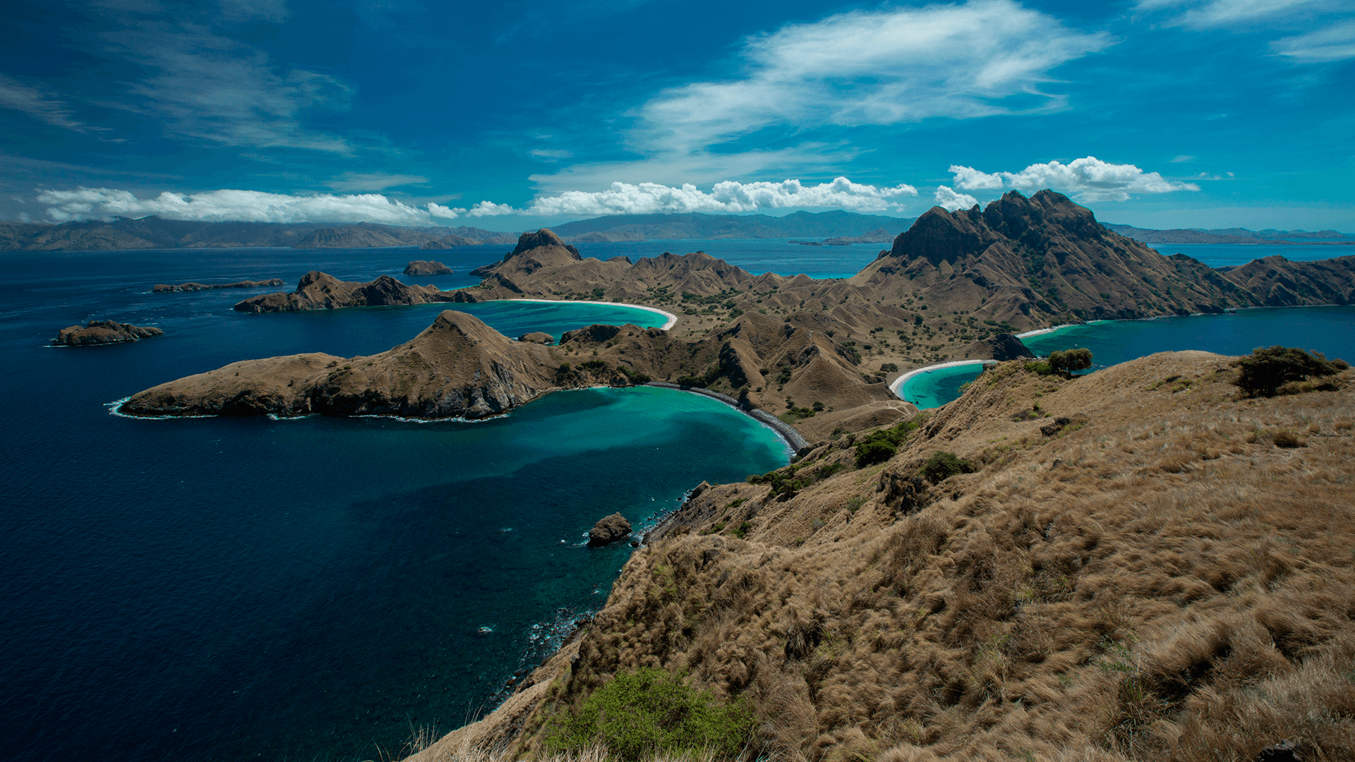 Indonesien - Komodo - Grupperejse 22. september 2028