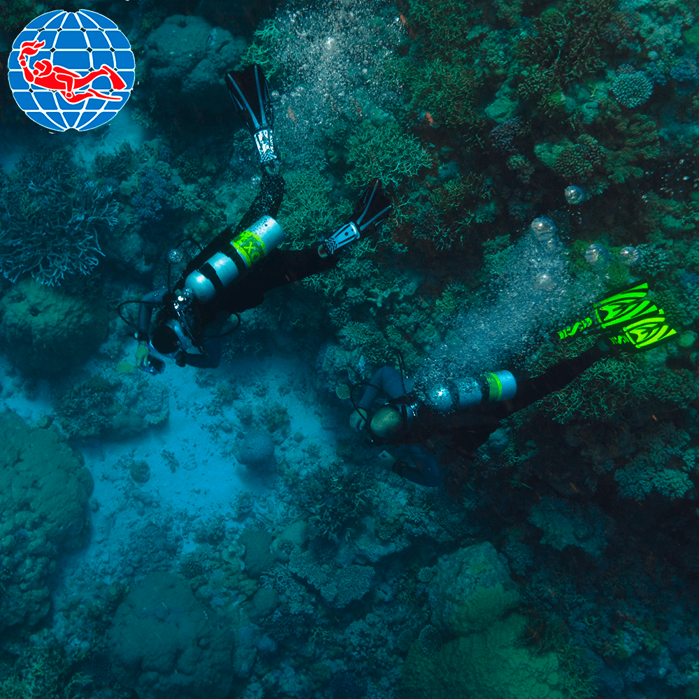 PADI Enriched Air Nitrox - Dykkerkursus