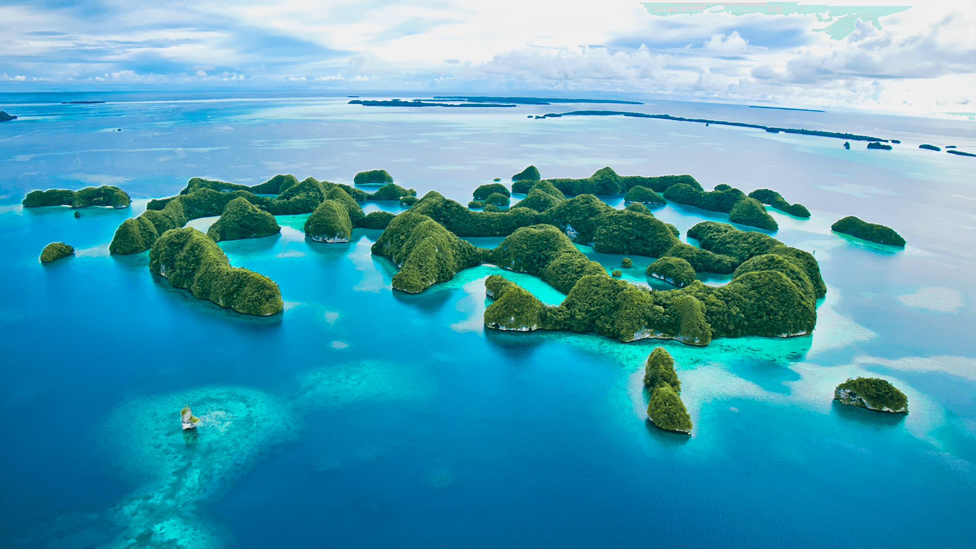 Palau - Stillehavet Dykkerrejse - Grupperejse 11. februar 2027