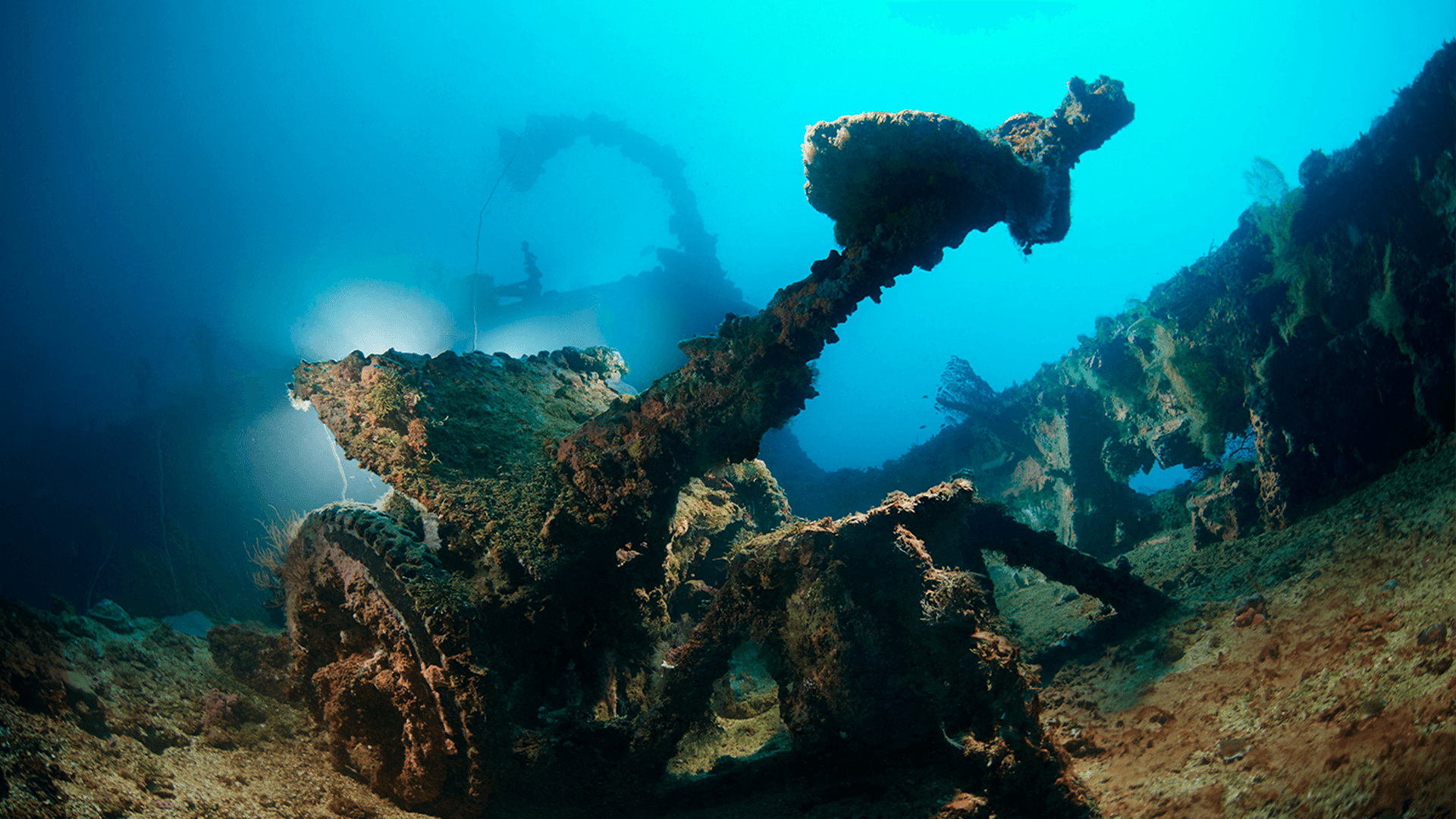 Mikronesien - Truk Lagoon Liveaboard - Grupperejse 2. februar 2027